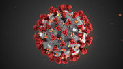 Epidemia da corona virus 2019-nCoV - Indicazioni urgenti per la prevenzione della diffusione del contagio